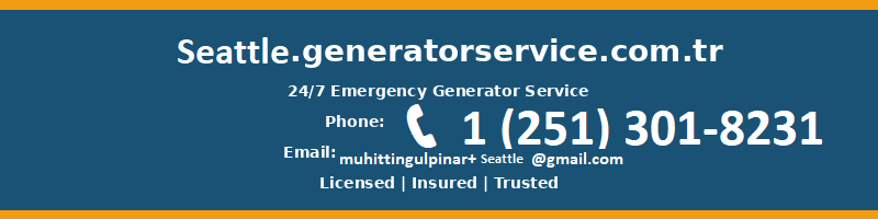 generator service, generator service repair, generator service maintenance, generator service emergency, generator service expert, generator service professional, generator service certified, generator service reliable, generator service Seattle, generator service Washington